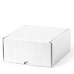 Caixa ApresentaçãoFissur - Image 2